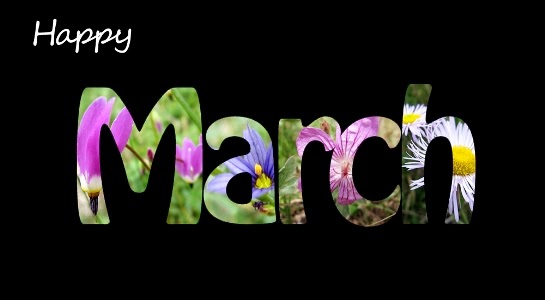 Happy New Month! (March 2016)